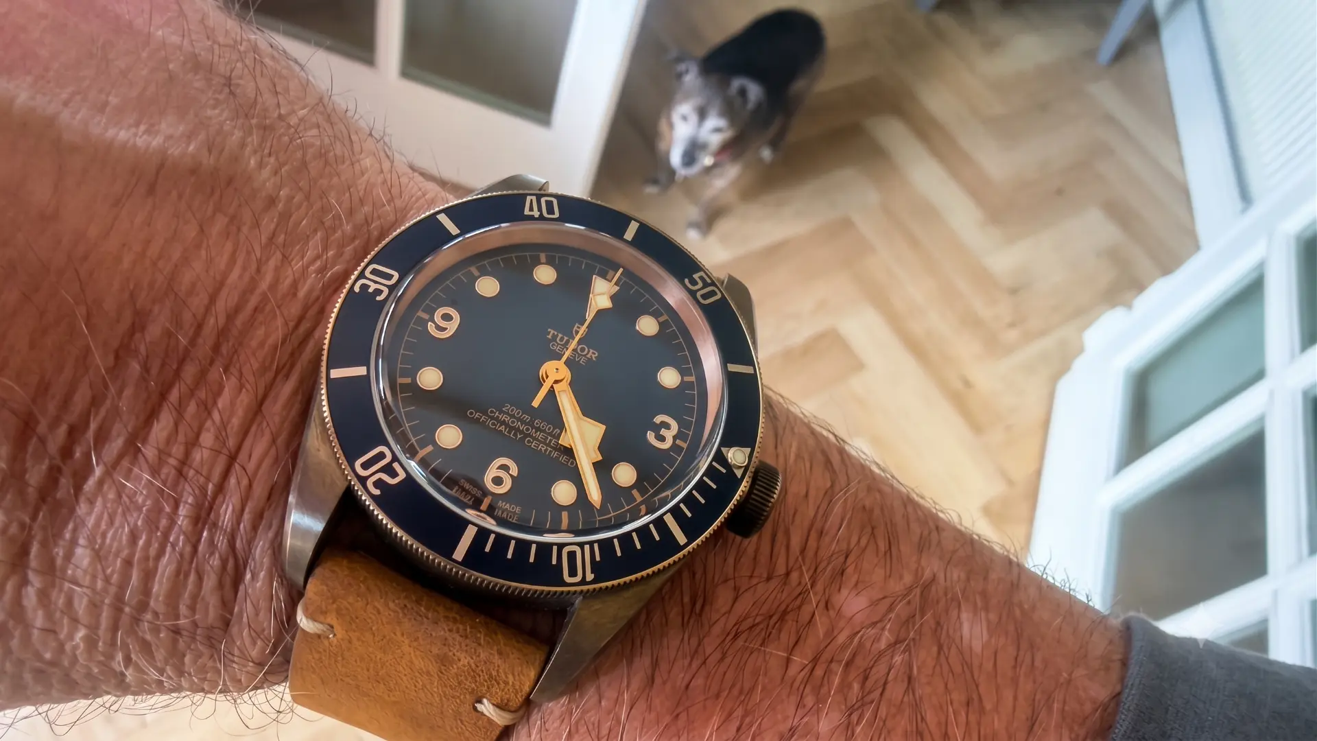 Tudor Black Bay Bronze Bucherer Blue photo 4